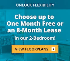 Choose up to one month or an 8-month lease.